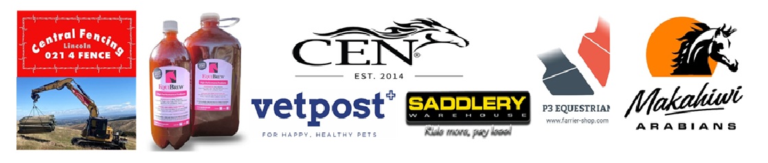 Sponsor